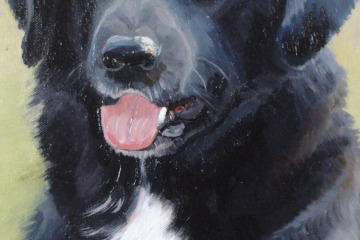 Пес. Х., м., 25х35, 2005