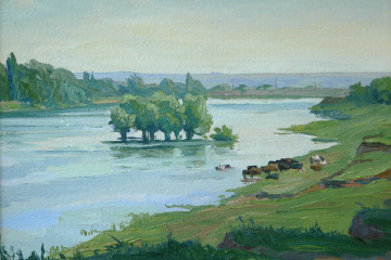 Днестровское водохранилище. К., м., 30х20