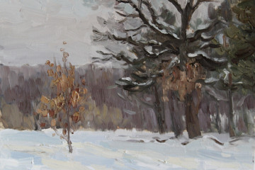 Оттепель. Х., м., 30х40
